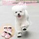 Hello Kitty Dog  Non-Slip Pet Shoes Puppy Booties with Reflective Strips for Middle and Small Dogs for Winter